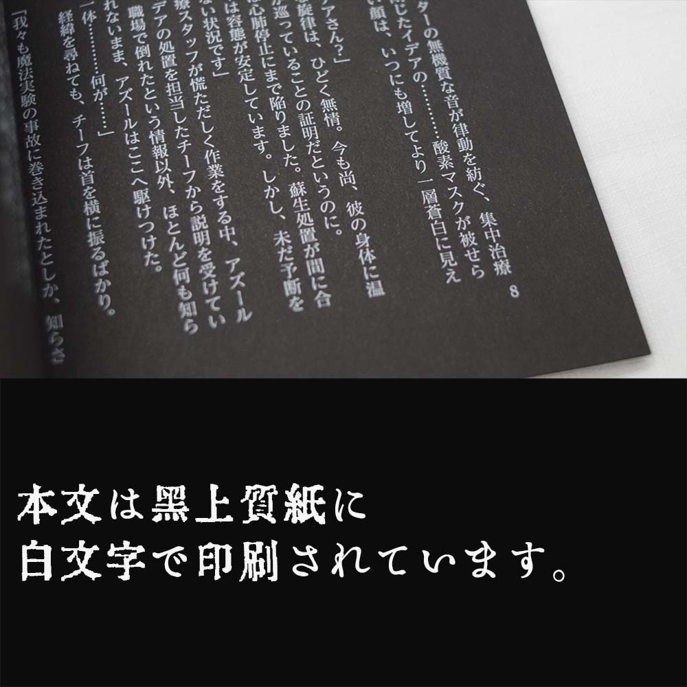 【12/12新刊】くらがりのカタルシス【内緒のサマリーDR2021】