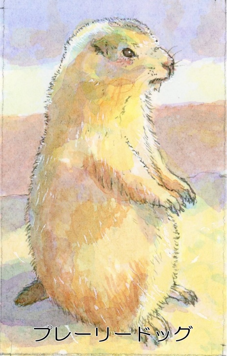 原画ミニ額入り