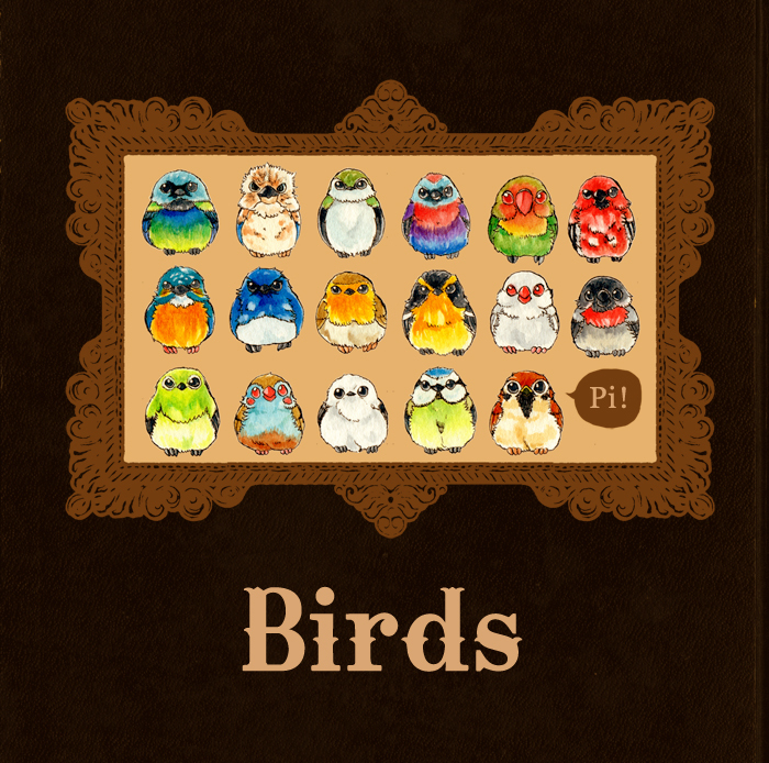 Birds