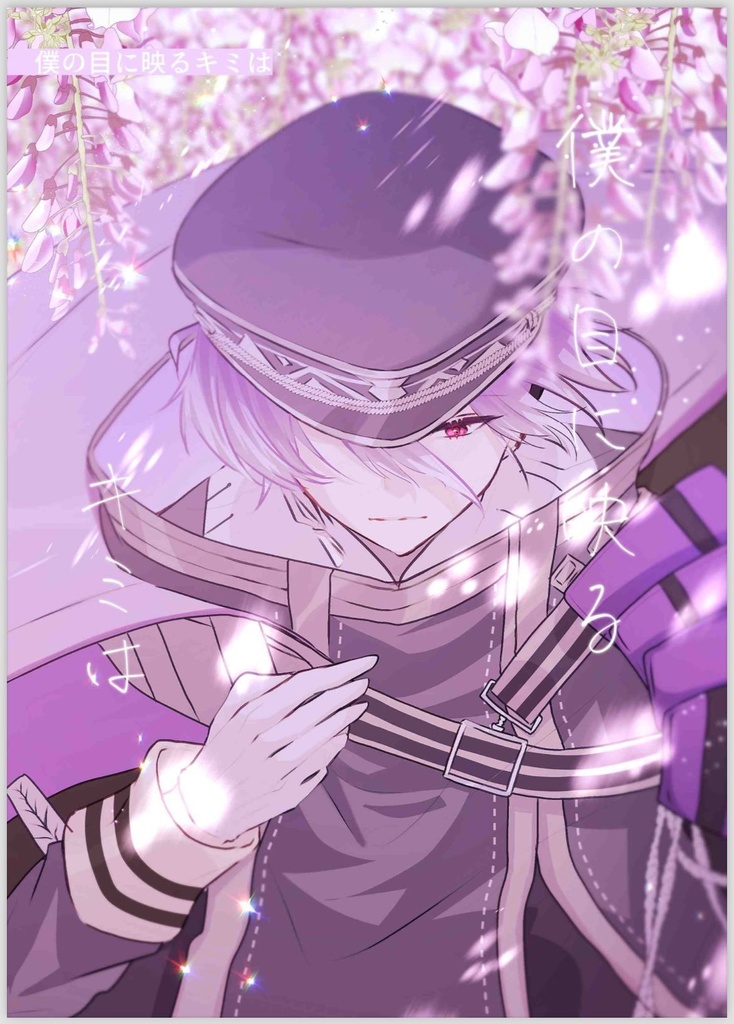 僕の目に映る君は