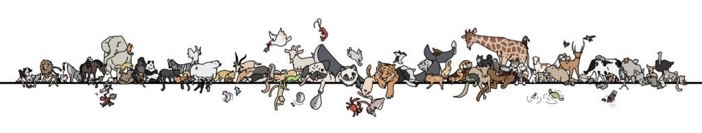 どうぶつマスキングテープ