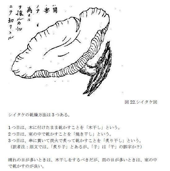 【ダウンロード版】田中長嶺著 愛知北設楽郡 シイタケ培養図解