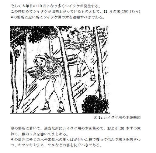 【ダウンロード版】田中長嶺著 愛知北設楽郡 シイタケ培養図解