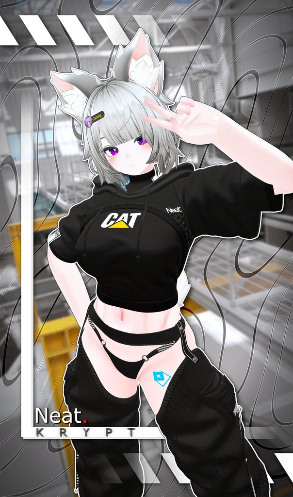 Neat - Krypt / 暗号学