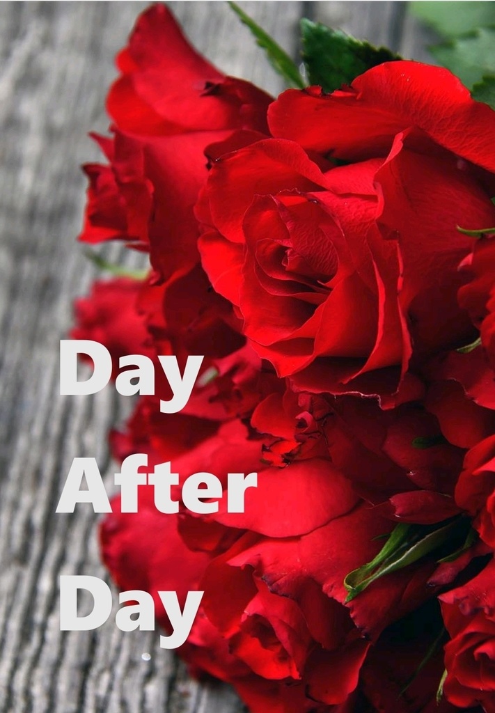 【レオケイ】Day After Day