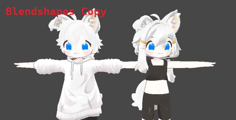 [FREE] Blendshapes copy 
