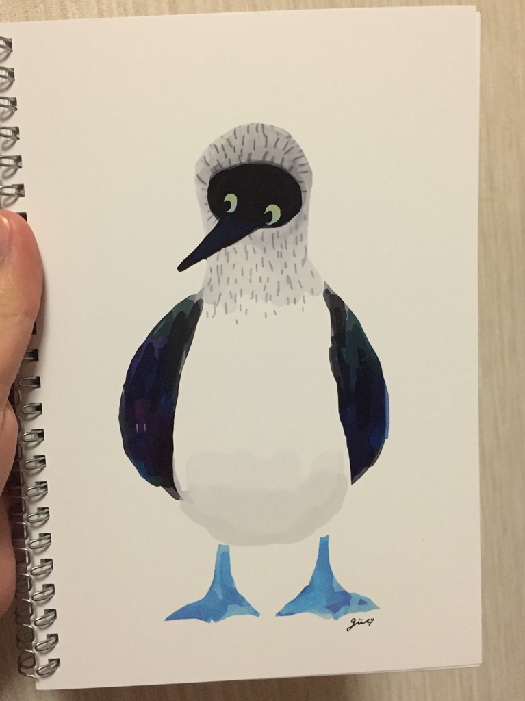 アオアシカツオドリくんのリングノート