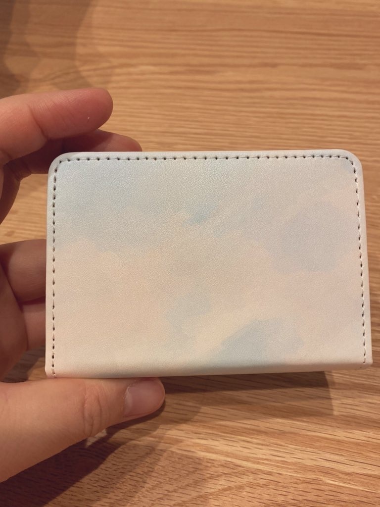 あるうつくしい朝のふたり カードケース