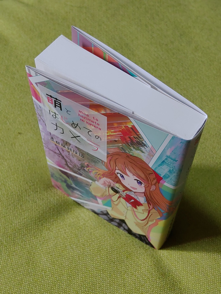 小説「萌とはじめてのカメラ」