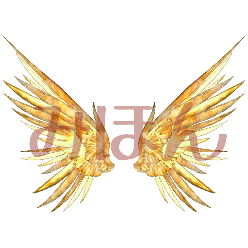 【印刷用】翼の素材【全12類】