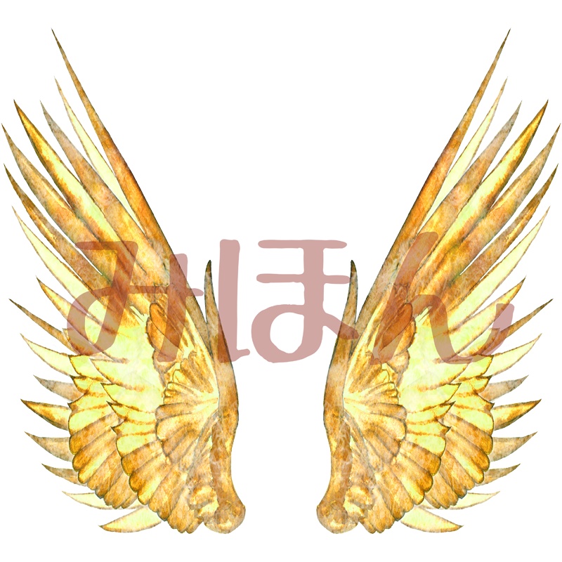 【印刷用】翼の素材【全12類】