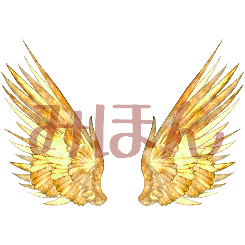 【印刷用】翼の素材【全12類】