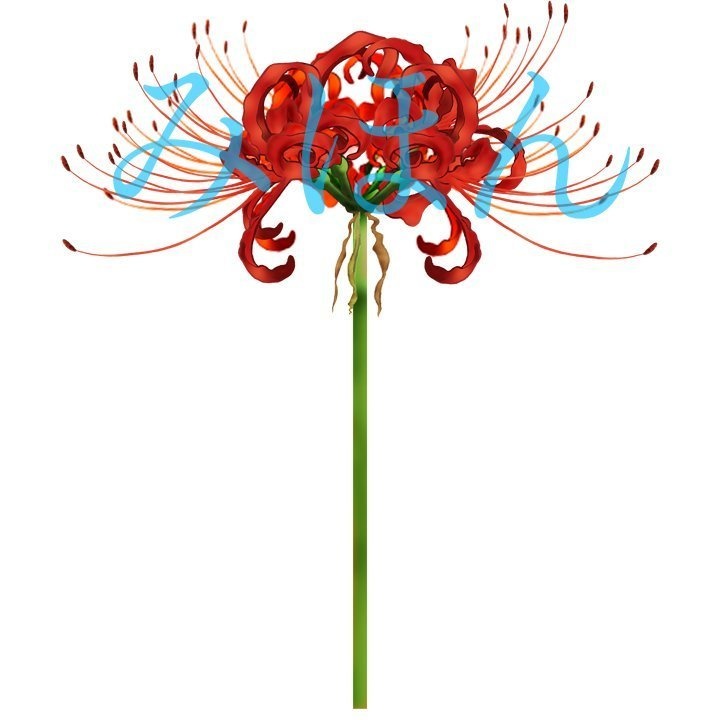 【印刷用】彼岸花の素材【全9類】