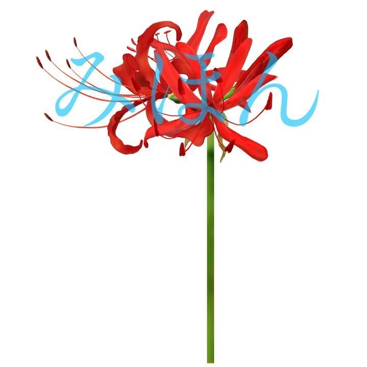 【印刷用】彼岸花の素材【全9類】