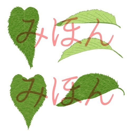 【印刷用】桜の素材【和風】