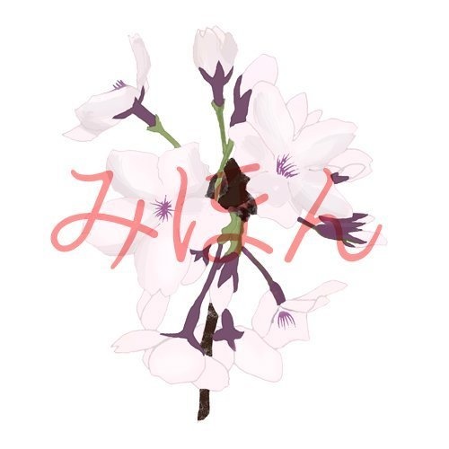 【印刷用】桜の素材【和風】