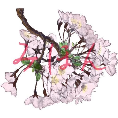 【印刷用】桜の素材【和風】