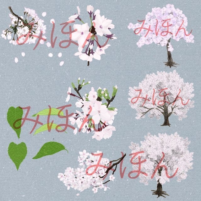 【印刷用】桜の素材【和風】