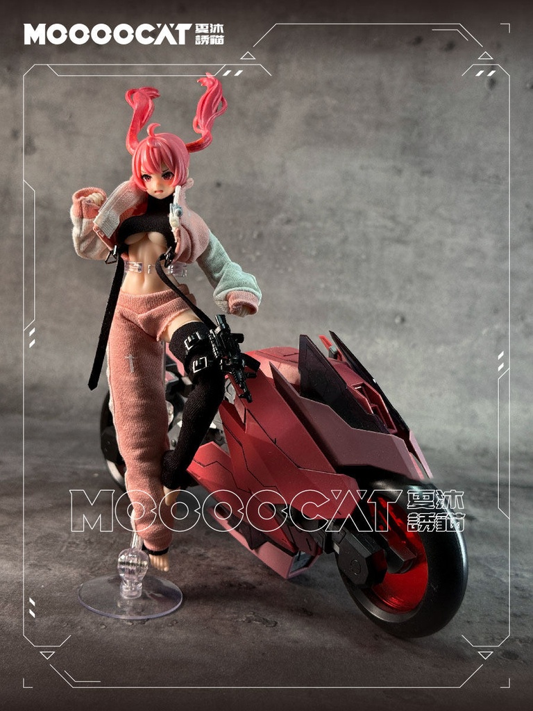 1/12 スポーツセットアップ