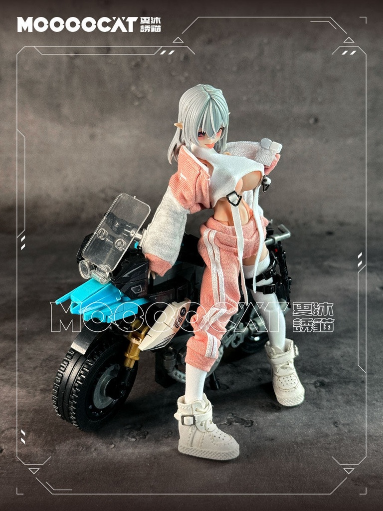 1/12 スポーツセットアップ