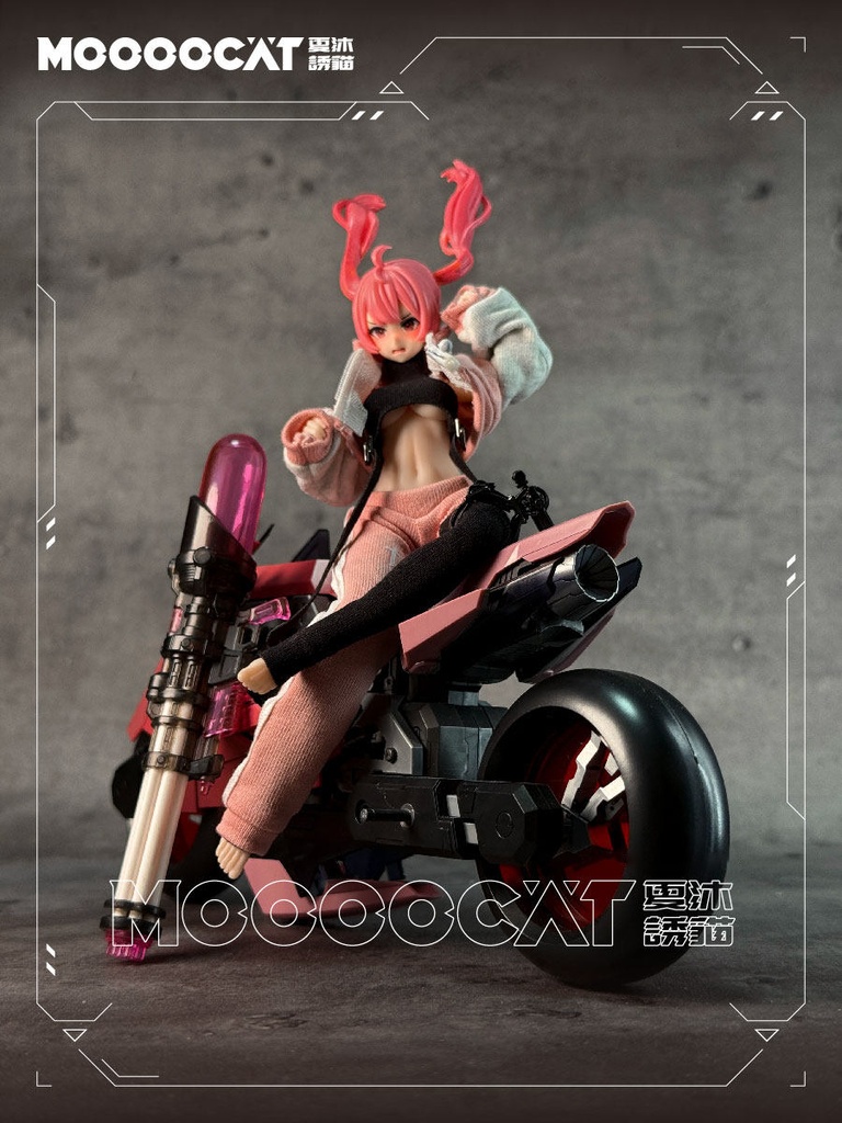 1/12 スポーツセットアップ