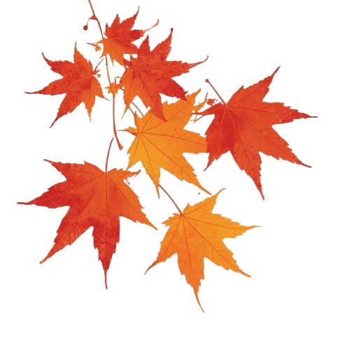 【温もりリソグラフ】秋の植物1 クリップアート25セット+α (PNG/300dpi)