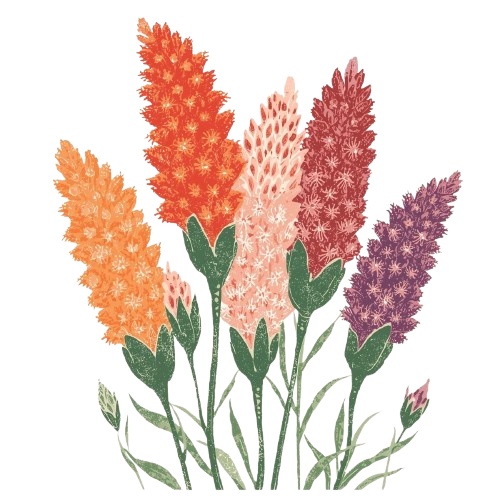 【温もりリソグラフ】秋の植物1 クリップアート25セット+α (PNG/300dpi)