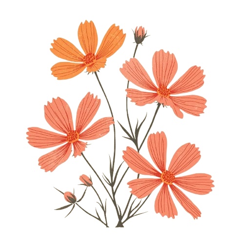 【温もりリソグラフ】秋の植物1 クリップアート25セット+α (PNG/300dpi)