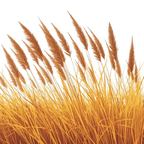 【温もりリソグラフ】秋の植物1 クリップアート25セット+α (PNG/300dpi)