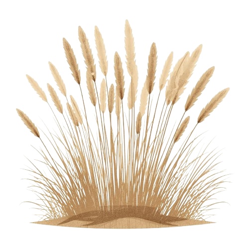 【温もりリソグラフ】秋の植物1 クリップアート25セット+α (PNG/300dpi)