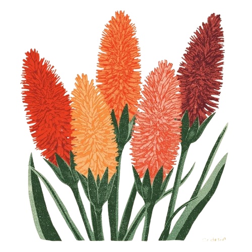 【温もりリソグラフ】秋の植物1 クリップアート25セット+α (PNG/300dpi)