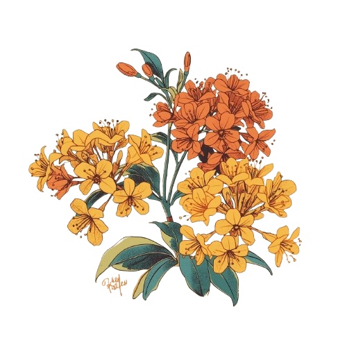 【温もりリソグラフ】秋の植物1 クリップアート25セット+α (PNG/300dpi)