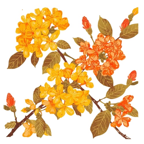 【温もりリソグラフ】秋の植物1 クリップアート25セット+α (PNG/300dpi)