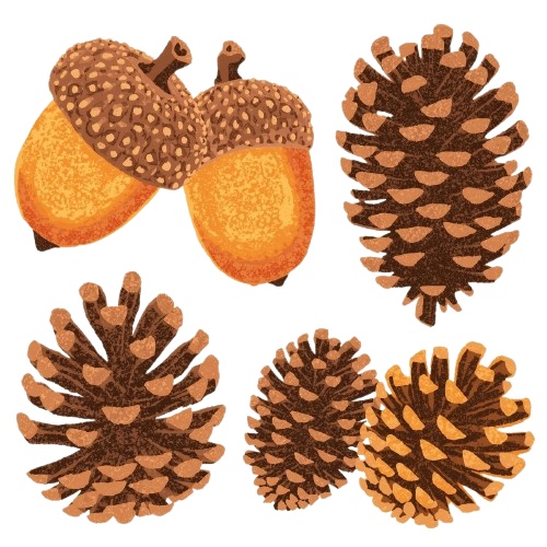 【温もりリソグラフ】秋の植物1 クリップアート25セット+α (PNG/300dpi)