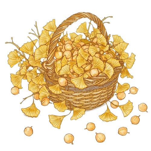 【温もりリソグラフ】秋の食べ物クリップアートセット20+α (PNG/300dpi)