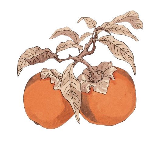 【温もりリソグラフ】秋の食べ物クリップアートセット20+α (PNG/300dpi)