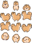 【アバター】と幻覚とポメ