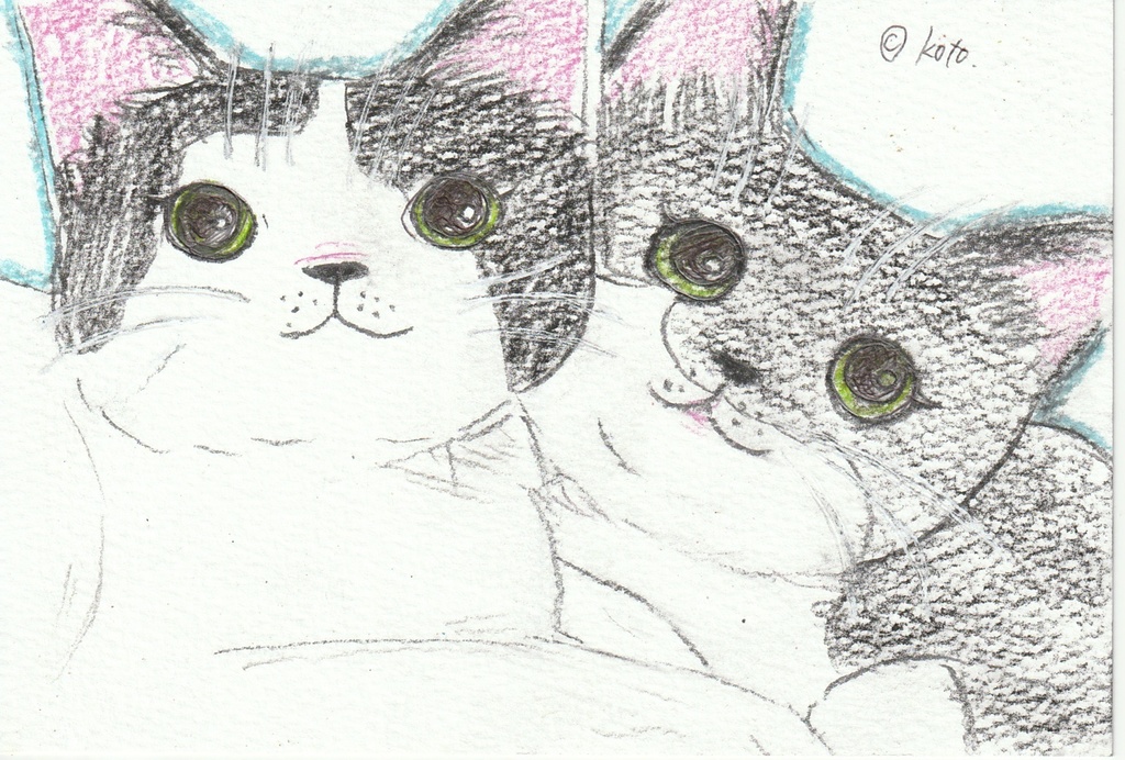 手描き猫のポストカードセット1