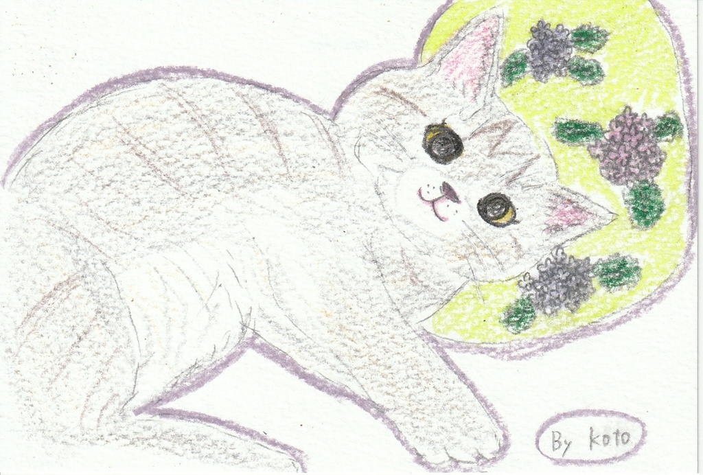 手描き猫のポストカード3