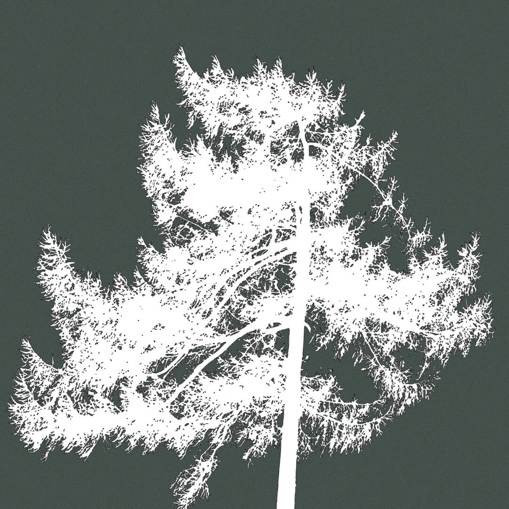 Procreateブラシ - 自動で縁取りのある木(枝、樹木、葉っぱ、幹、テクスチャ)130本