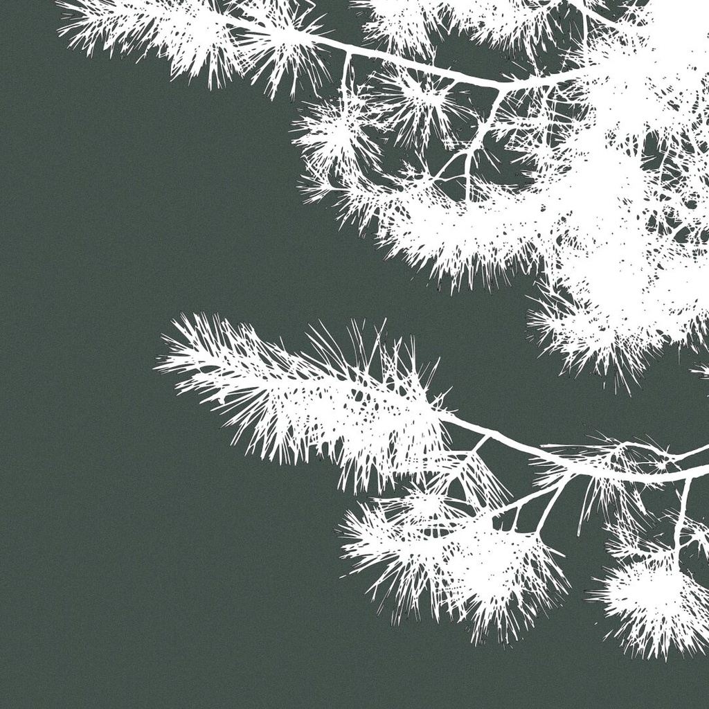 Procreateブラシ - 自動で縁取りのある木(枝、樹木、葉っぱ、幹、テクスチャ)130本