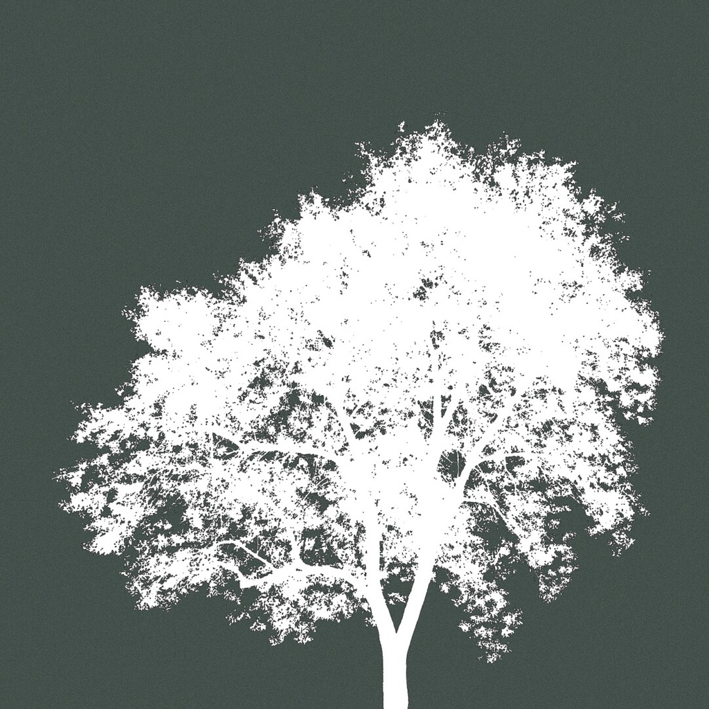 Procreateブラシ - 自動で縁取りのある木(枝、樹木、葉っぱ、幹、テクスチャ)130本