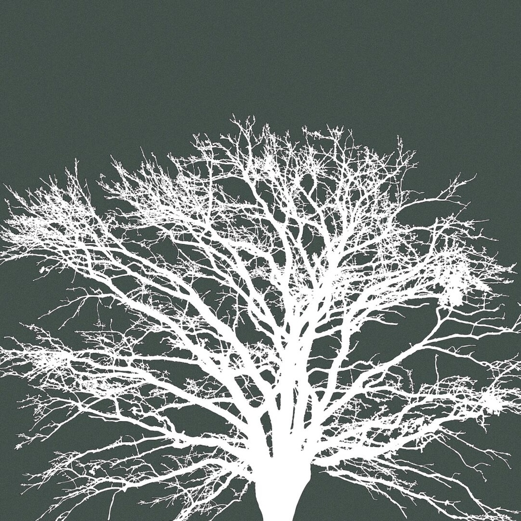 Procreateブラシ - 自動で縁取りのある木(枝、樹木、葉っぱ、幹、テクスチャ)130本