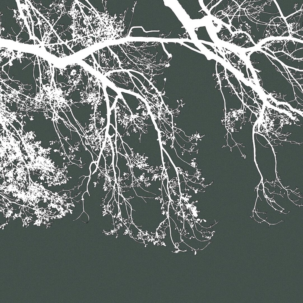 Procreateブラシ - 自動で縁取りのある木(枝、樹木、葉っぱ、幹、テクスチャ)130本