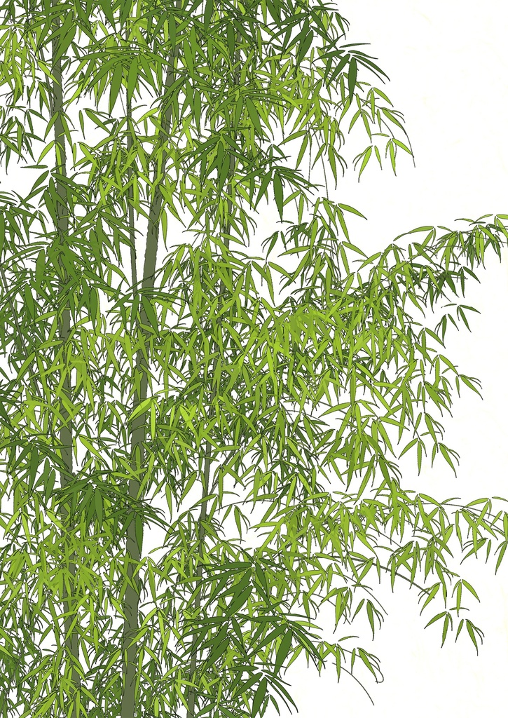 Procreateブラシ - 自動で縁取りの葉っぱ(紅葉、サルナシの葉、竹の葉、松の葉、松葉、ヤナギの葉、バラの葉、バラの葉)150本