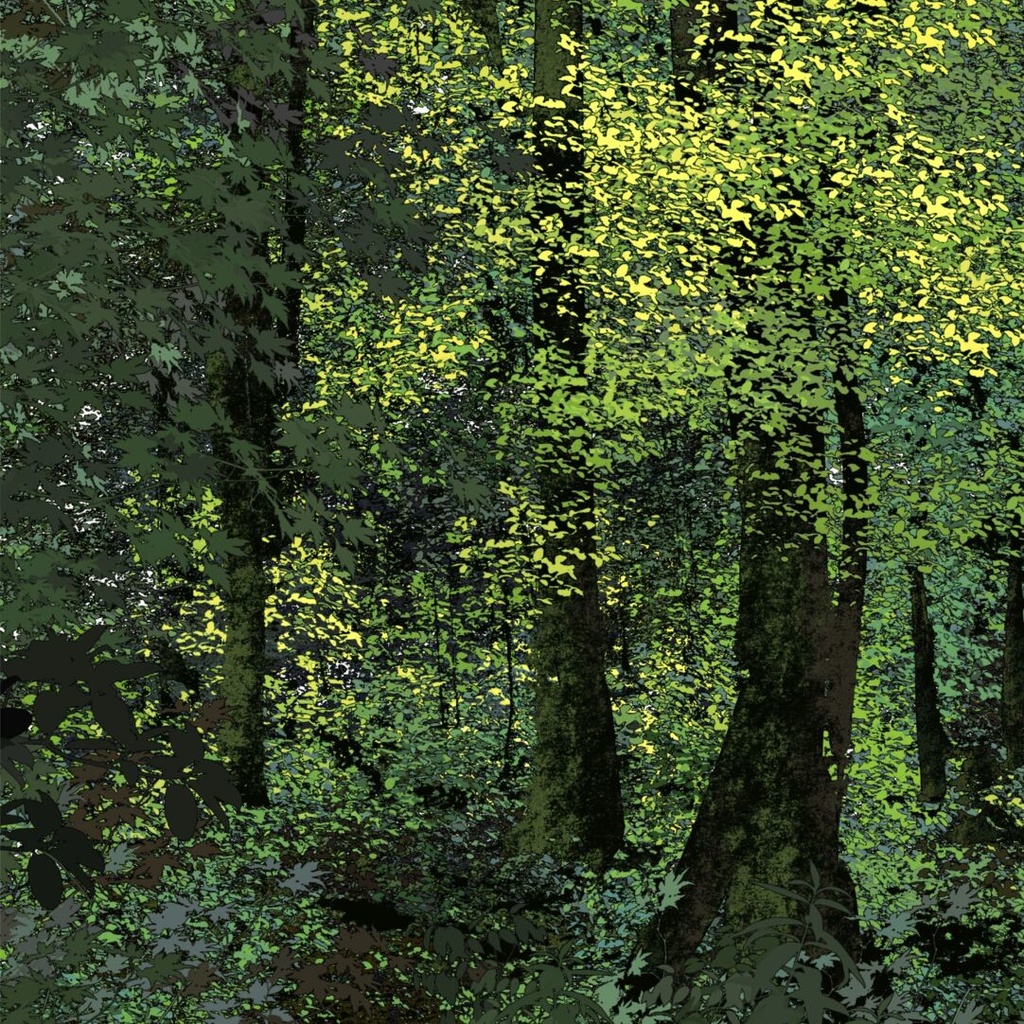 Procreateブラシ - 自動で縁取りの葉っぱ(紅葉、サルナシの葉、竹の葉、松の葉、松葉、ヤナギの葉、バラの葉、バラの葉)150本