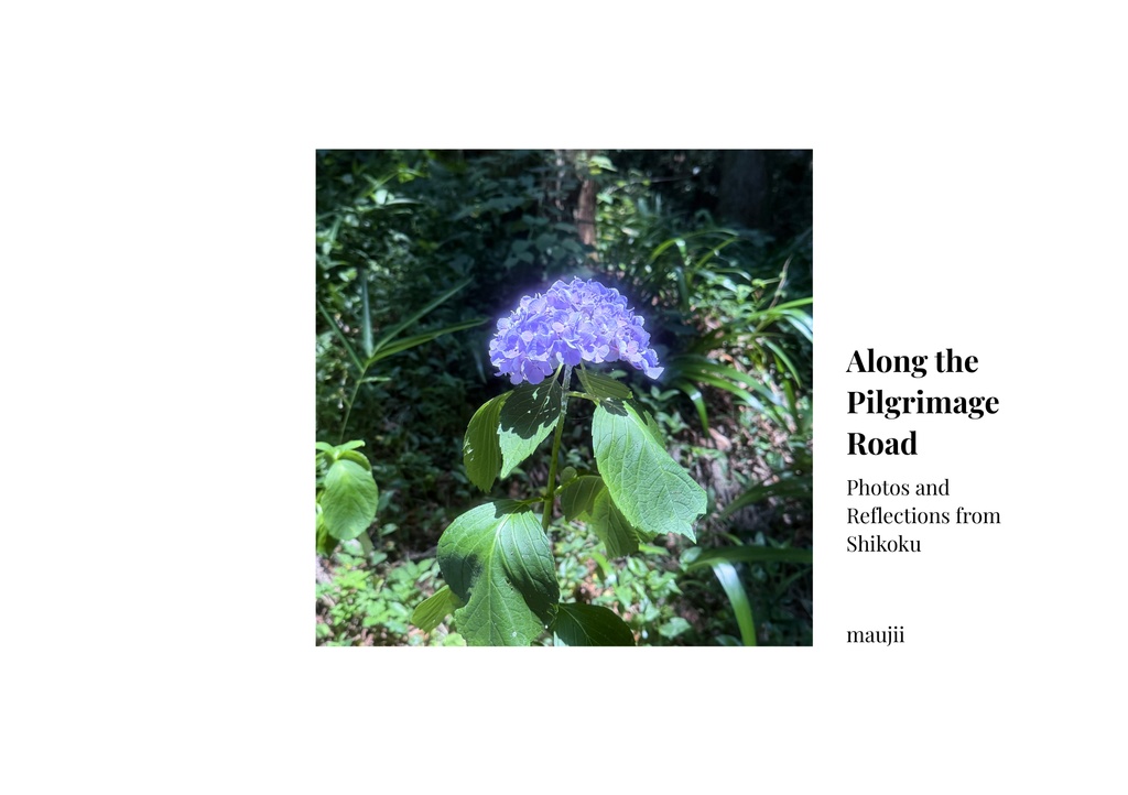 Along the Pilgrimage Road