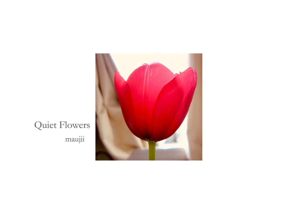Quiet Flowers
