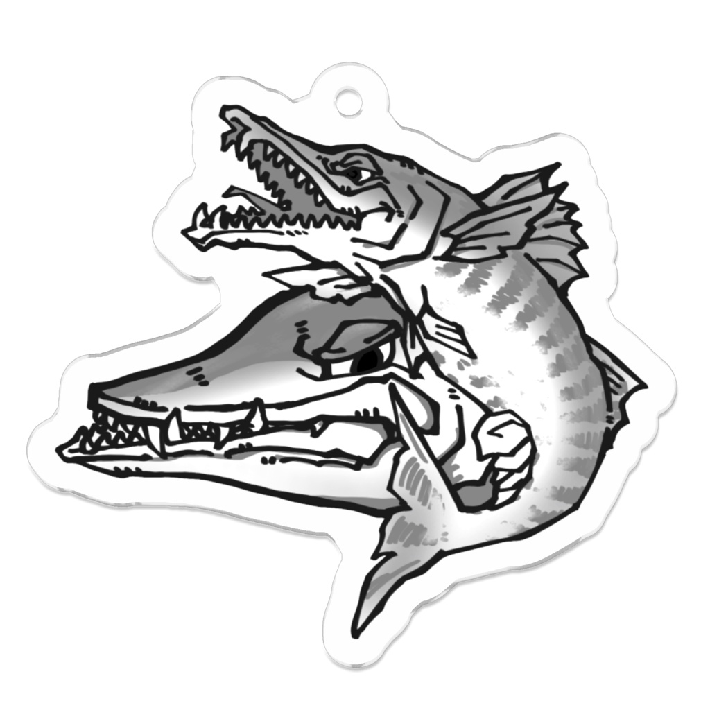 バラクーダ アクキー