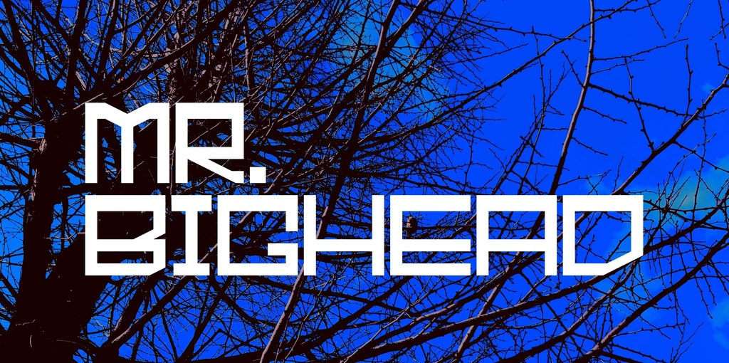 フォントデータ”Mr.Bighead”